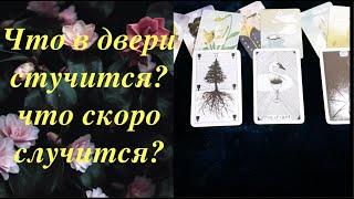 Какие перемены у Вашего порога? Узнай прямо сейчас/Таро расклад/Lenormand/Эзотерика Магия Таро