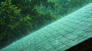  Rainstorm on a Forest Cabin Roof ️ Soothing Rain Sounds for Sleep, Relaxation & Anxiety