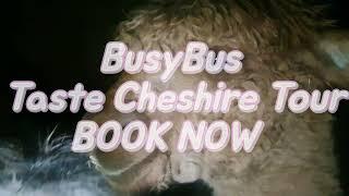 BusyBus Taste Cheshire Tour. Meeting the Alpacas at Chester Fields Country Restaurant.