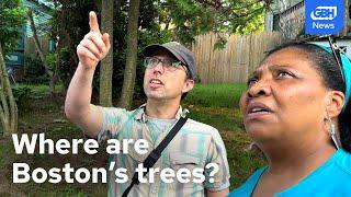 Trees in Boston: Who gets more and why it matters