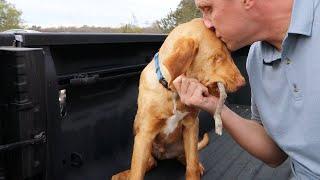 Saying goodbye to my blind puppy 