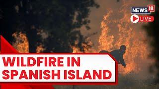 Spain Wildfires 2023 LIVE | Wildfire On Spanish Island Forces More Evacuations | Tenerife Wildfire