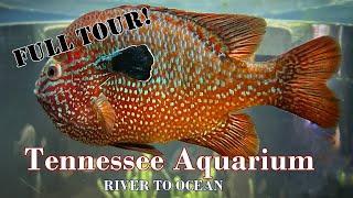 The Tennessee Aquarium: River To Ocean (FULL TOUR!!)