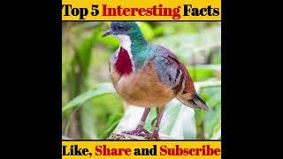 Top 5 Interesting Facts  | Amazing Facts | Interesting facts | #shorts #generalfacts