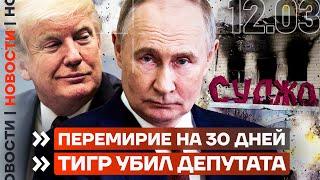 ️ НОВОСТИ | ПЕРЕМИРИЕ НА 30 ДНЕЙ | ТИГР УБИЛ ДЕПУТАТА