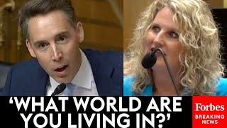 'Now You've Been Caught Red-Handed!': Josh Hawley Accuses Doctor Of Lying To Quash Lab Leak Theory