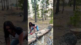 Think you could keep up!?!  #stihl #chainsaw #firewood