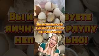 Вы используете яичную скорлупу неправильно!!! #огород #дача #подкормка #урожай #яичнаяскорлупа