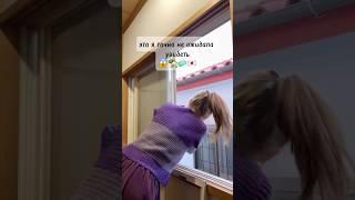 Японские окна