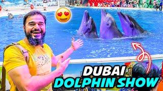 Dolphins ne kamal kardia  sab heran hogae