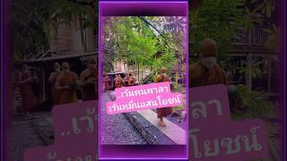อย่าคบคนพาล #ธรรมะ #พุทธวจน #พระอาจารย์คึกฤทธิ์ #วัดนาป่าพง #สาธุ #นกพรทิพย์