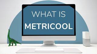 What is Metricool?