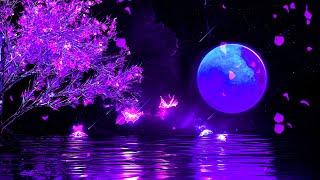 Good Night Music | Calm Deep Sleep Music | 528Hz Positive Energy Meditation Music