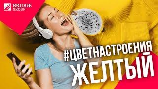 Бридж Групп: флэшмоб "Цвет настроения желтый"