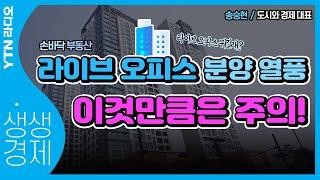 [YTN라디오 생생경제] 법 틈새 노려 주거용으로? '라이브 오피스'가 뭐길래_송승현 도시와 경제 대표