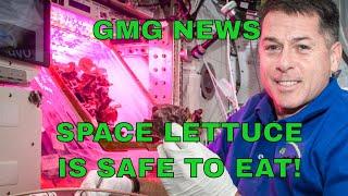 GMG NEWS: Space Plants are Safe to Eat