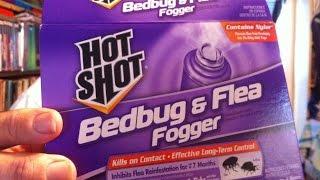 How to Bomb for Bedbugs, Fleas, Lice & Ticks (Live Demonstration with Foggers)