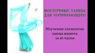 Восточный танец/ Танец живота/ Арабский танец для начинающих за 16 часов