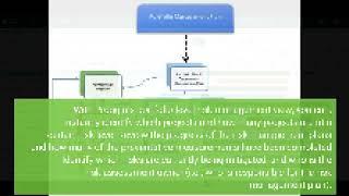 Risk Management within Project Portfolio Management