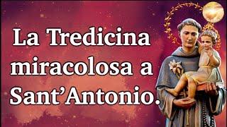 La Tredicina miracolosa a Sant’Antonio