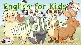 Wildlife A to Z | English for Kids (UK)