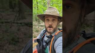 MISUNDERSTOOD FOREST MANAGEMENT EXPLAINED: HIGH GRADING VS SINGLE TREE SELECTION #forest #trees