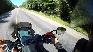 1290R coyote encounter