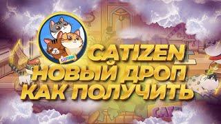 Как получить второй дроп CATIZEN и не упустить возможность заработать!