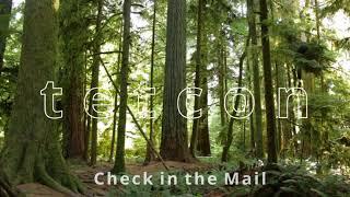 Silent Hill Style Beat "Check in the Mail" - tetcon