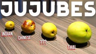 Jujubes! - What are they and what are the different types? (Chinese, Thai & Indian Jujube)