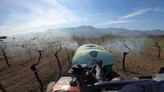 Bağlara 4'lük Bordo Bulamacı Attım [ GoPro ]