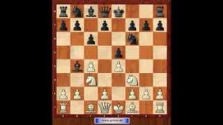 Eröffnungskatastrophen 10. Englische Eröffnung 1.c4 e5. Eugen Grinis. Schach