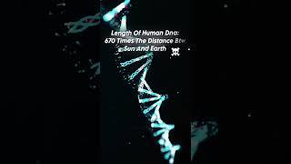 Length Of Human Dna ️ #shorts #viral #fypシ #space #earth #nature #Sun #trending