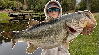 THESE PONDS ARE LOADED W/ GIANT BASS! (Florida fishing)