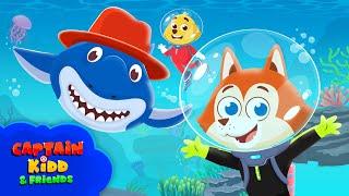 Captain Kidd S3 | Episode 1 | Alex the Shark Dentist | Animated Cartoon for Kids | Song for Toddlers