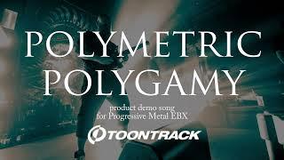 "Polymetric Polygamy" - TOONTRACK demo song