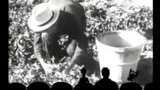 MST3K - Short - The Truck Farmer