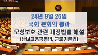 [긴급레시피] '24.9.26 국회본회의통과 모성보호관련 개정법률 해설