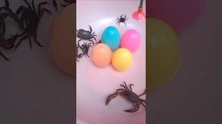 Yellow Bugs in Surprise Eggs #surpriseeggs