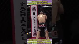 TKO Punches TPF 23 - Dominic Clark vs Charles Diaz #shorts #mma #tpf