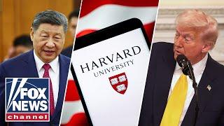 Why China is the 'only winner' in Trump funding fight, Harvard professor warns