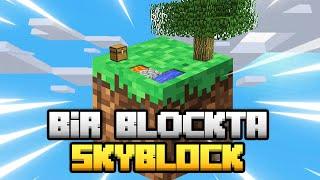 1 BLOKTA SKYBLOCK / Sınırsız Kaynaklı Skyblock