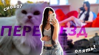 ПЕРЕЕЗЖАЮ | *реакция кота* | ROOMTOUR  | Мариуполь