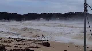 강원도 거진 자산천 바다상황 20년9월3일 11시10분