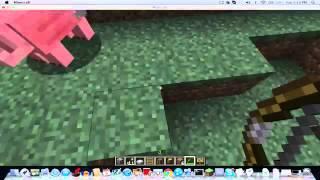 Minecraft Trickshot (Test)