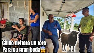 Chino un toro le regalaron para su boda con Doña Marta/Dios mío mira que pasara