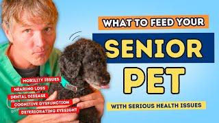 Senior Dog: Simple Kitchen Foods for Senior Dog Health Problems