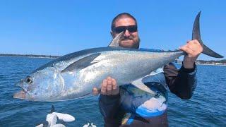 Port Stephens Longtail Tuna fever continues 2024