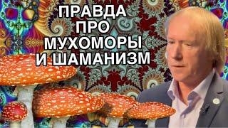 Правда про мухоморы и шаманизм