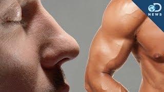 Big Noses for Big Muscles!